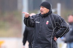 374x hoa-CL3H0433 theo vonk